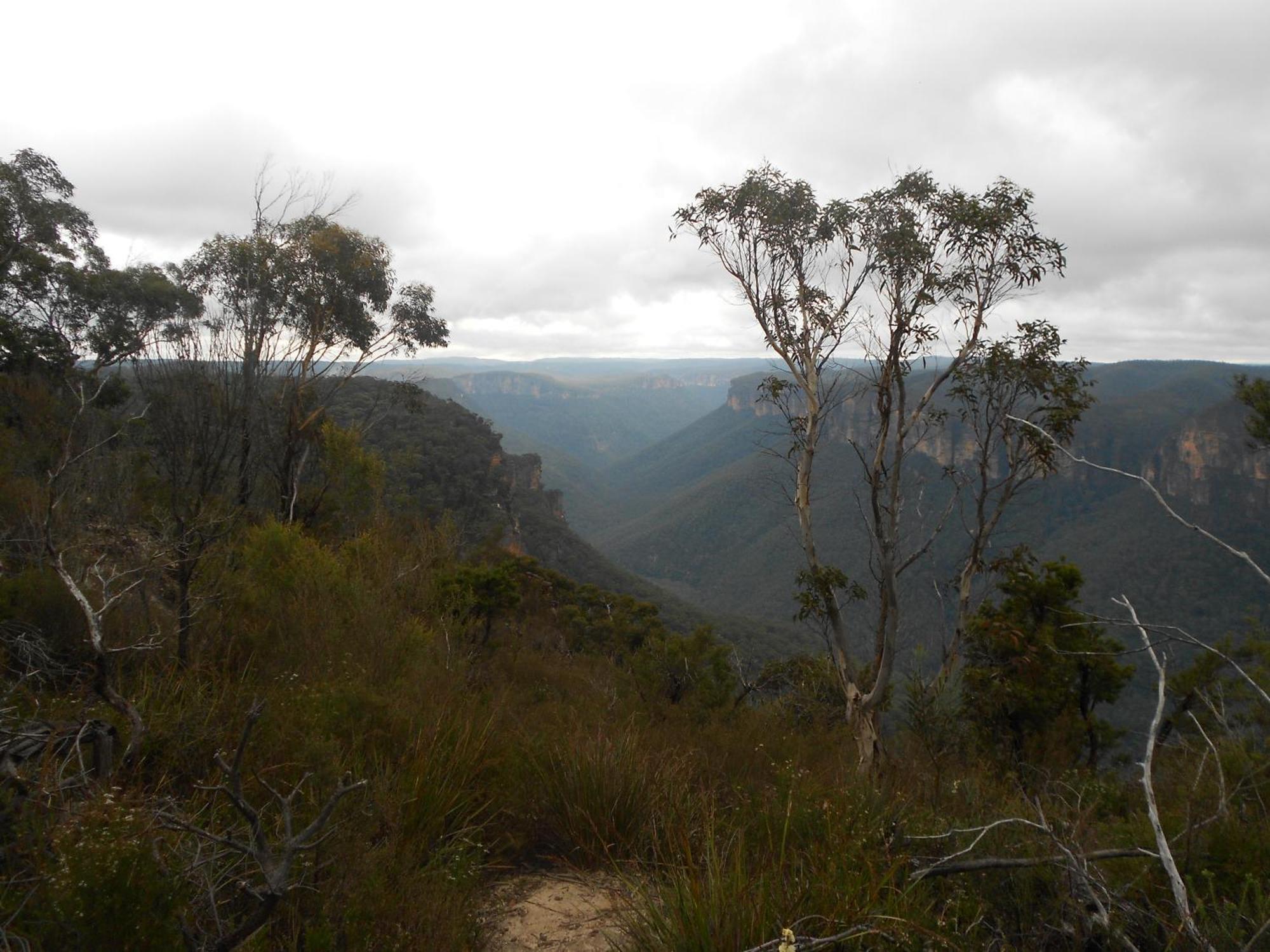 High Mountains Motor Inn Blackheath Buitenkant foto